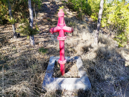 Fire extinguishing. Red fire-fighting valve. Fire prevention. Fire extinguisher in the garden. photo