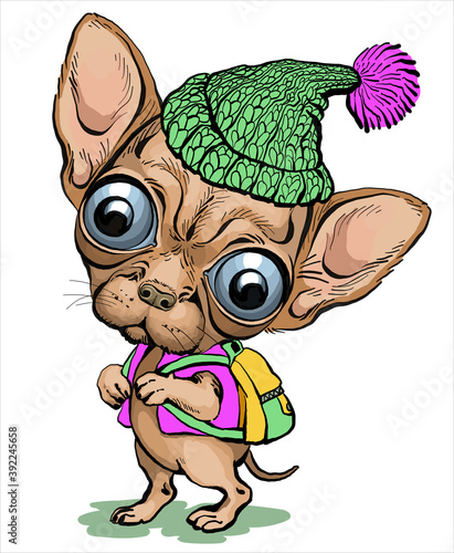 Vector illustration. Cartoon caricature. Funny chihuahua dog puppy with a backpack on his back and a hat on his head.