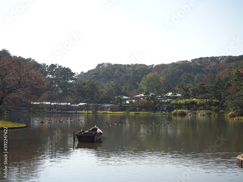 日本庭園の池のある風景