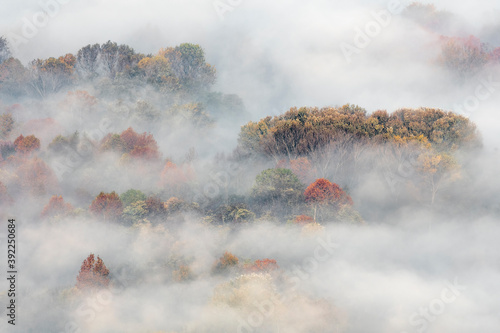 Autumn colors at sunrise in the misty forest