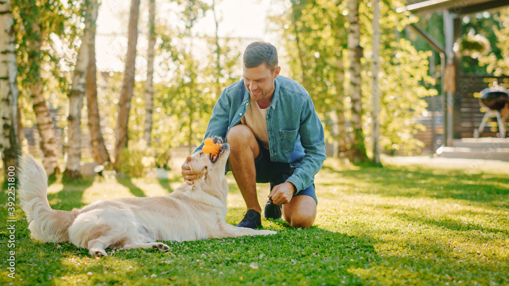 Fototapeta premium Handsome Man Plays with His Loyal Golden Retriever Dog, Scratches His Head, Caresses, Plays with Poppy's Favourite Snack Bone Toy. Gorgeous Sunny day, Having Fun Outdoors