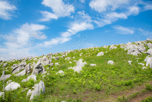 Akiyoshidai, a meadow on a sunny day photo
