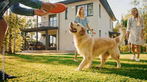 Smiling Beautiful Family of Four Play Catch flying disc with Happy Golden Retriever Dog on the Backyard Lawn. Idyllic Family Has Fun with Loyal Pedigree Dog Outdoors in Summer House. photo