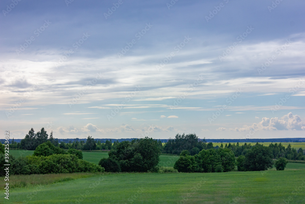 View of a green field with trees in good spring weather.