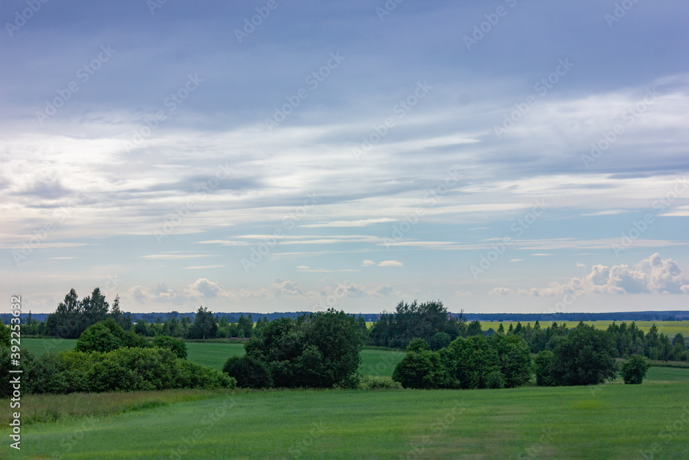 View of a green field with trees in good spring weather. View of a green field with trees in good spring weather.