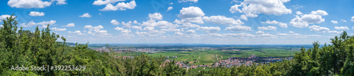 Panoramic view of the Upper Rhine Plain / Germany, seen from the Schlossberg near Hambach photo