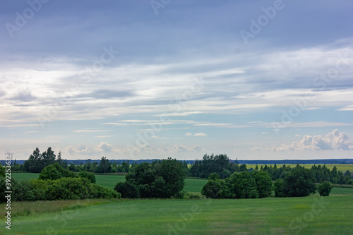 View of a green field with trees in good spring weather.