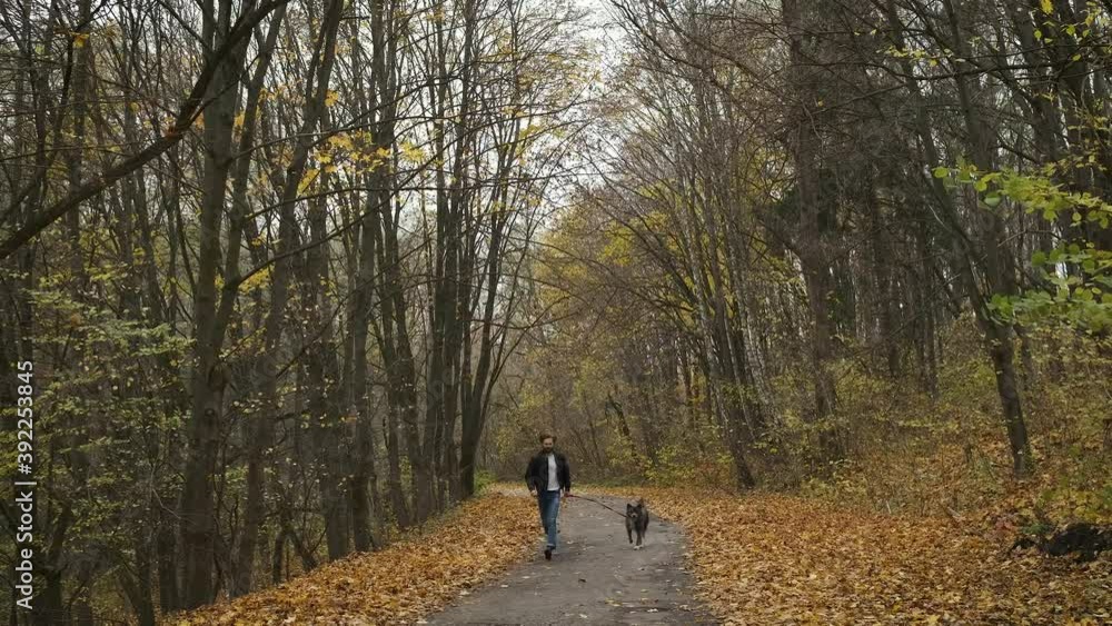 Caucasian man walking a dog in an autumn park running with him through the woods supporting physical activity Caucasian man walking a dog in an autumn park running with him through the woods supporting physical activity