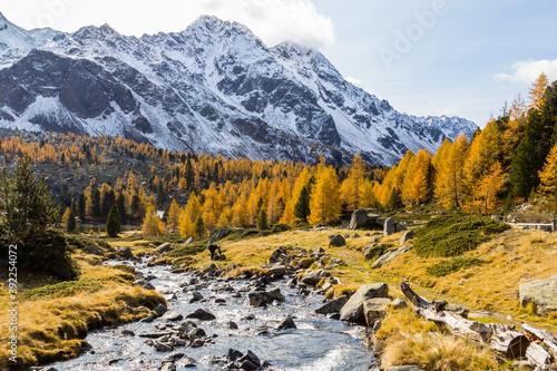 Autumn season with golden larche trees with brook into the Lake Viola in the Campo Valley in Grisons, Switzerland
