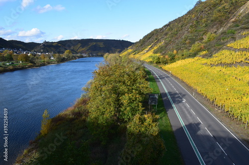 Landstraße durchs herbstliche Moseltal bei Niederfell photo