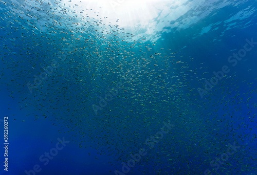 underwater world background