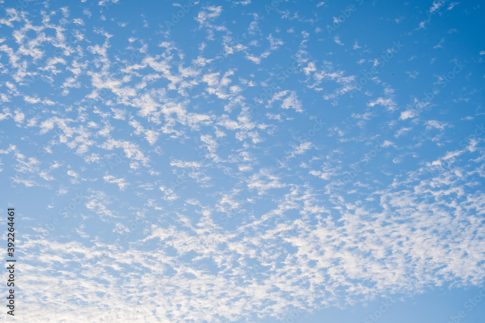 Fototapeta premium 青い空