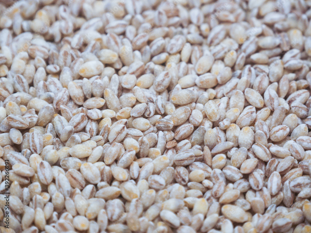 Top view of unhulled unpolished barley background image Top view of unhulled unpolished barley background image