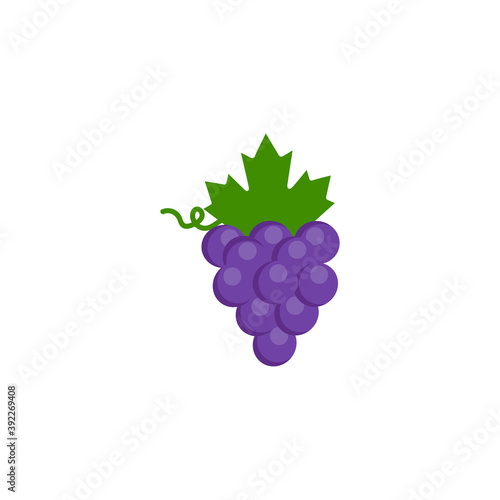 This is a vector grape isolated on a white background.