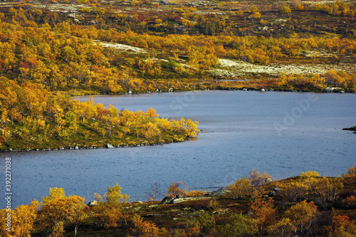 Lake with vegetation in the tundra in autumn. Kola Peninsula, Russia.