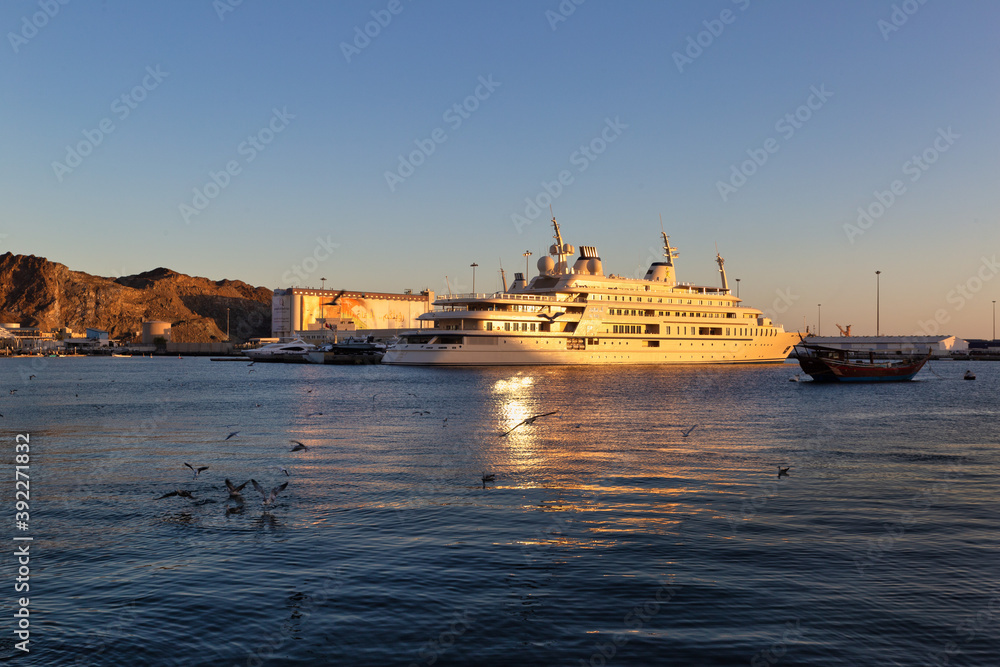 A group of birds play in the sea water near a stationed cruise ship at the port of Muscat.