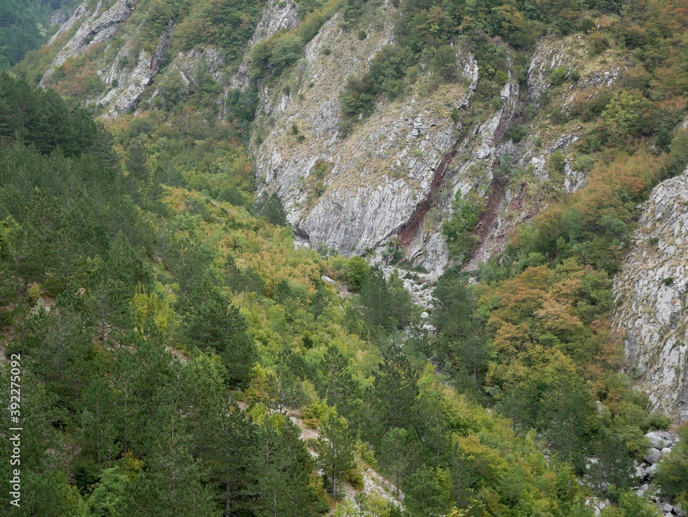 Top view of the mountains overgrown with forest