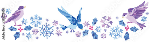 冬　雪の結晶　小鳥フレーム