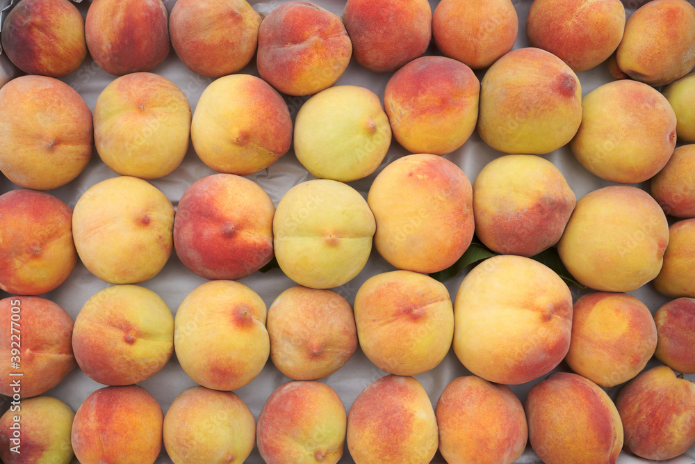 Freshly harvested peach background. Ripe peach stacked Freshly harvested peach background. Ripe peach stacked