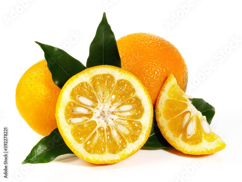 Bilde på lerret Bitter Orange Kumquat on white Background Isolated