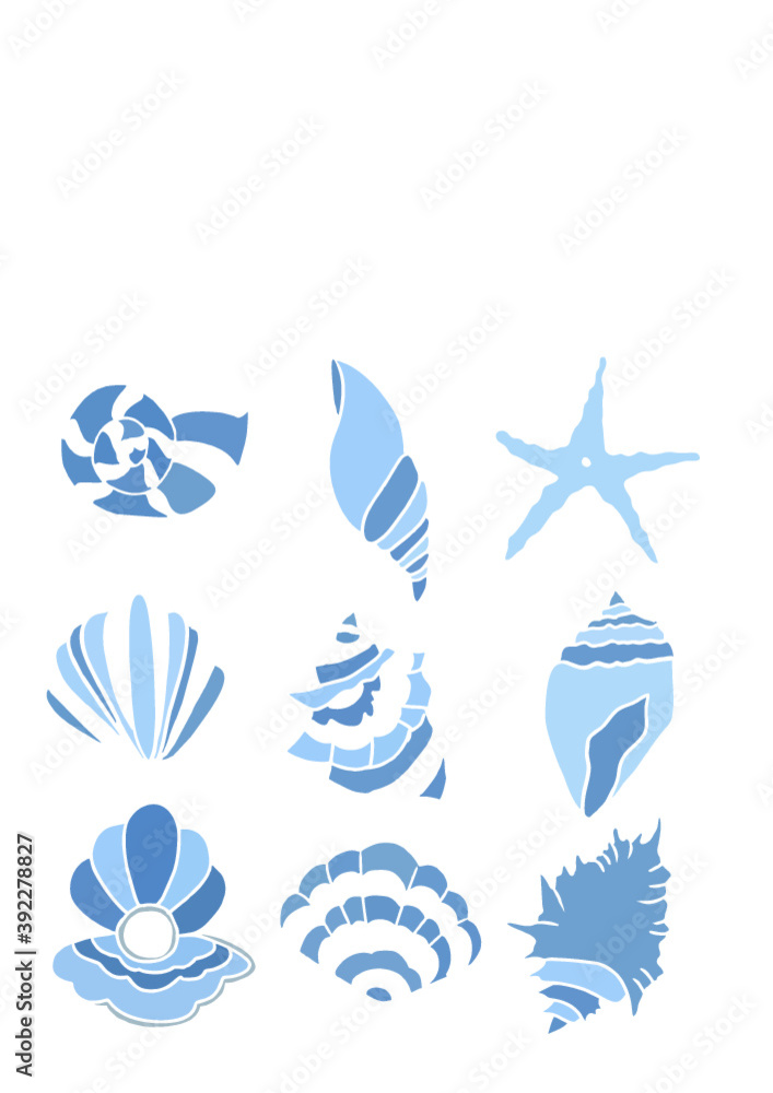 Summer seashells in blue colour Summer seashells in blue colour