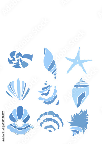 Summer seashells in blue colour