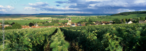 View over Champagne vineyards to the village of Villedommange (Ville Dommange) from the chapel of Saint-Lie, Champagne Region, Marne, France photo