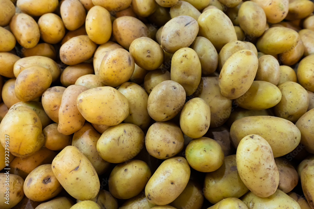 Potato. Lots of potatoes. The frame is filled with potatoes Potato. Lots of potatoes. The frame is filled with potatoes