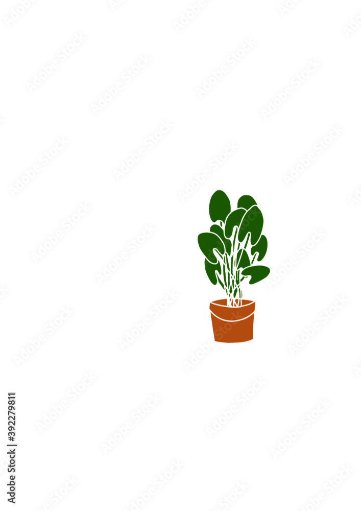 Home flowers in pots