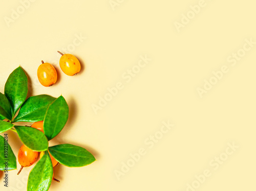 Fresh ripe sea buckthorn, green barberry leaves on beige background close-up. Background of ripe berries. Macro photography. Fruit organic background. Healthy food, vitamin berry