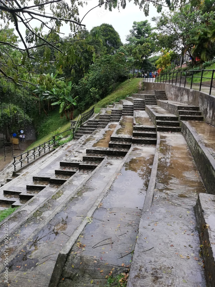 Obraz premium Después de la lluvia