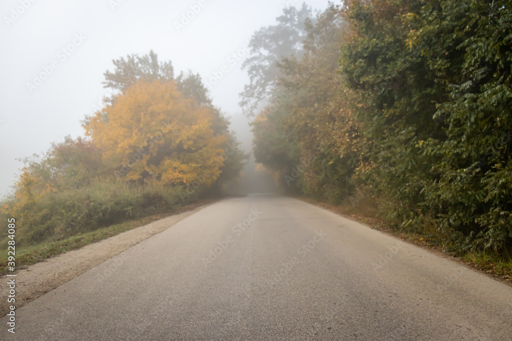 Foggy autumn morning at Spring Aranyoslapi in City Zalaegerszeg, Hungary