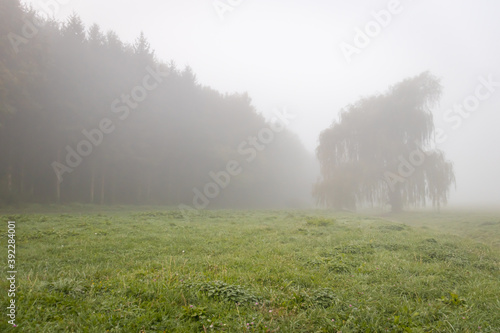 Foggy autumn morning at Spring Aranyoslapi in City Zalaegerszeg, Hungary