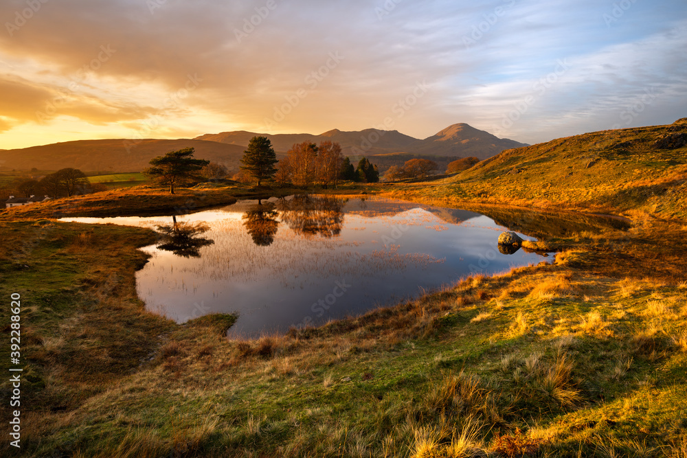 Mirror reflections in small lake with golden light on land. Taken at Kelly Hall Tarn, Lake District, UK.