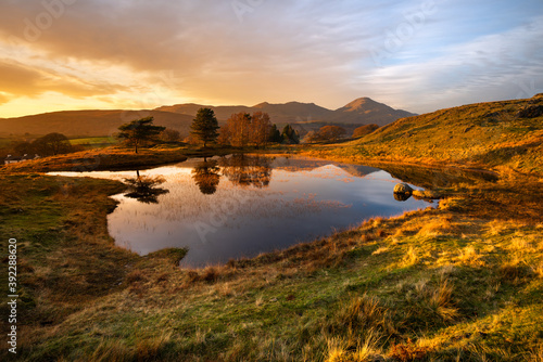 Mirror reflections in small lake with golden light on land. Taken at Kelly Hall Tarn, Lake District, UK.