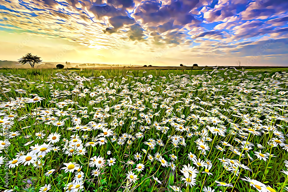 Beautiful summer sunrise over daisy field - digital art