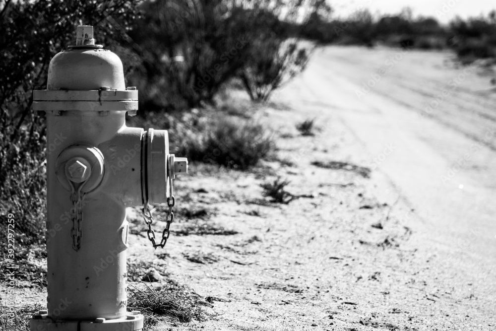 Fototapeta premium desert fire hydrant in black and white low perspective