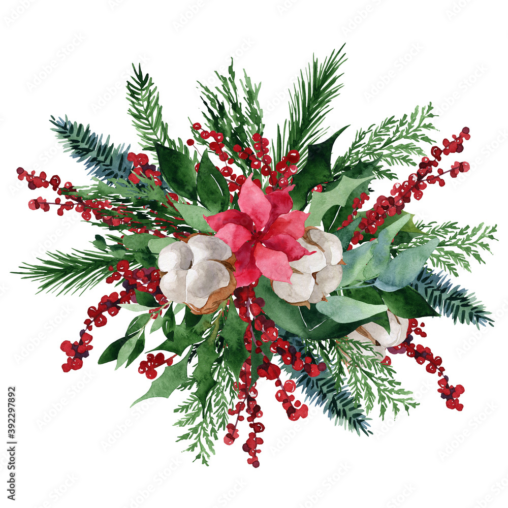 watercolor illustration, Christmas composition with cotton, berries, juniper branches, poincetia, isolated on a white background watercolor illustration, Christmas composition with cotton, berries, juniper branches, poincetia, isolated on a white background