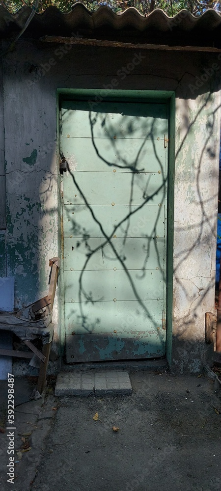 An old, light-green painted metal door with shadows of branches on the surface.