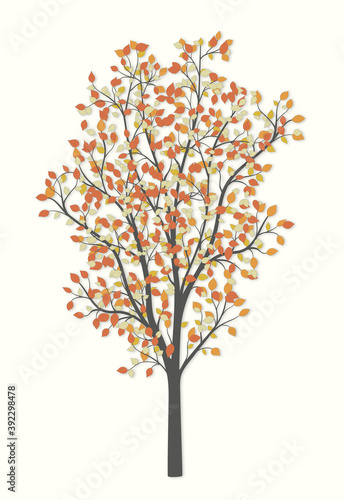 Autumn tree with red and yellow leaves on a light background