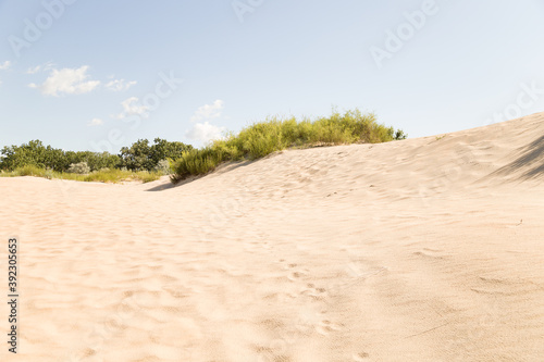 Sand dunes landscape on the coast of the Black sea. Anapa. Krasnodar region. Russia