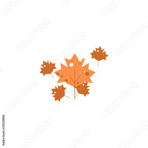 Flat design maple leave. Maple leaves in autumn  isolated on white background