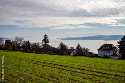 Blick über den See zum Bodenseeufer Konstanz und der Insel Mainau