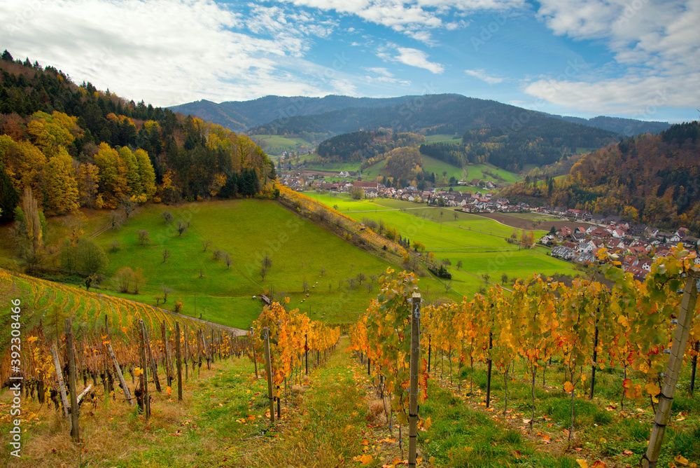 Herbstliches Glottertal im Schwarzwald
