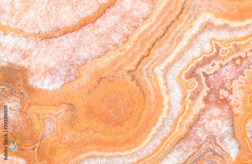 Macrophotographic Detail of a Dulcote Agate Macrophotographic Detail of a Dulcote Agate