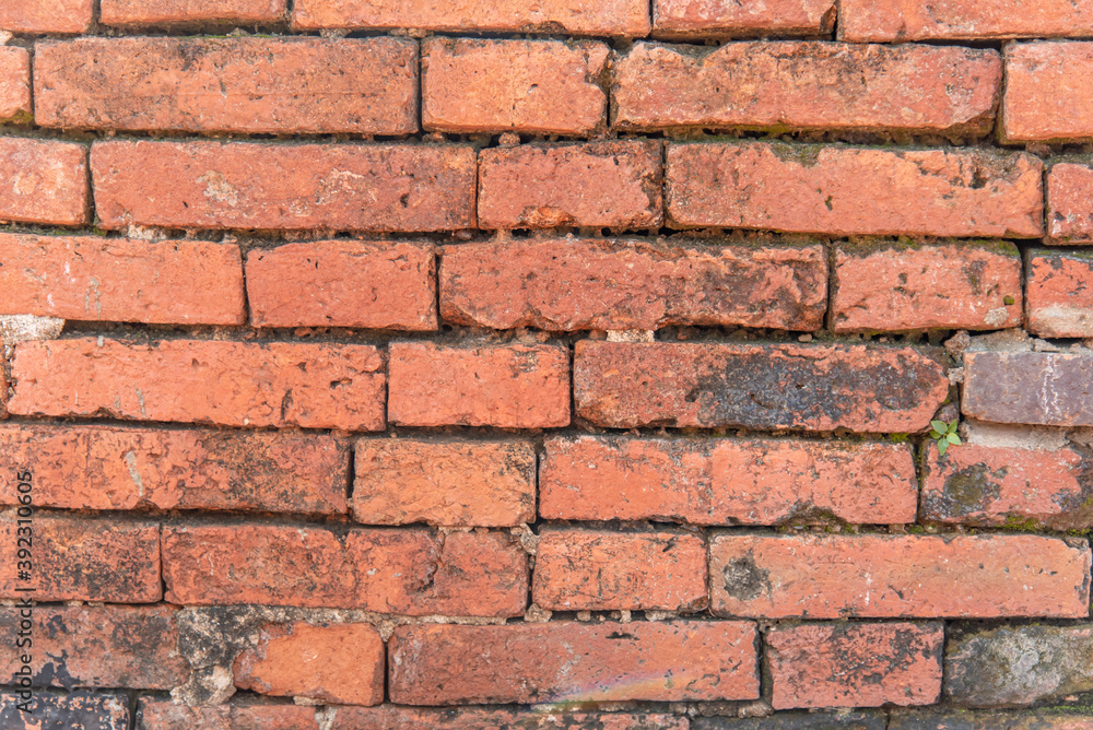 Fototapeta premium red brick wall background