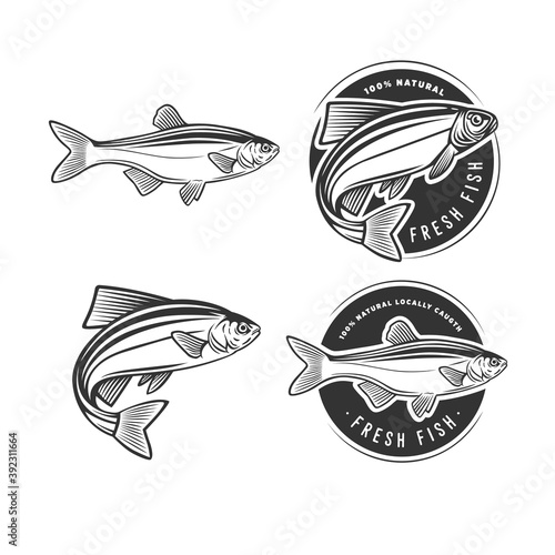 Set of logos on a fishing theme.