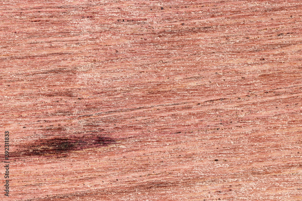 Wood Cross Section Texture Background Stock Photo | Adobe Stock