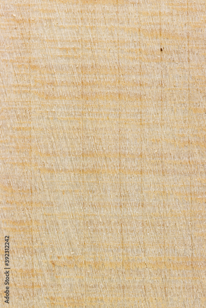 Wood Cross Section Texture Background Stock Photo | Adobe Stock