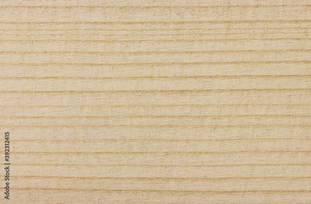 Wood Cross Section Texture Background Stock Photo | Adobe Stock